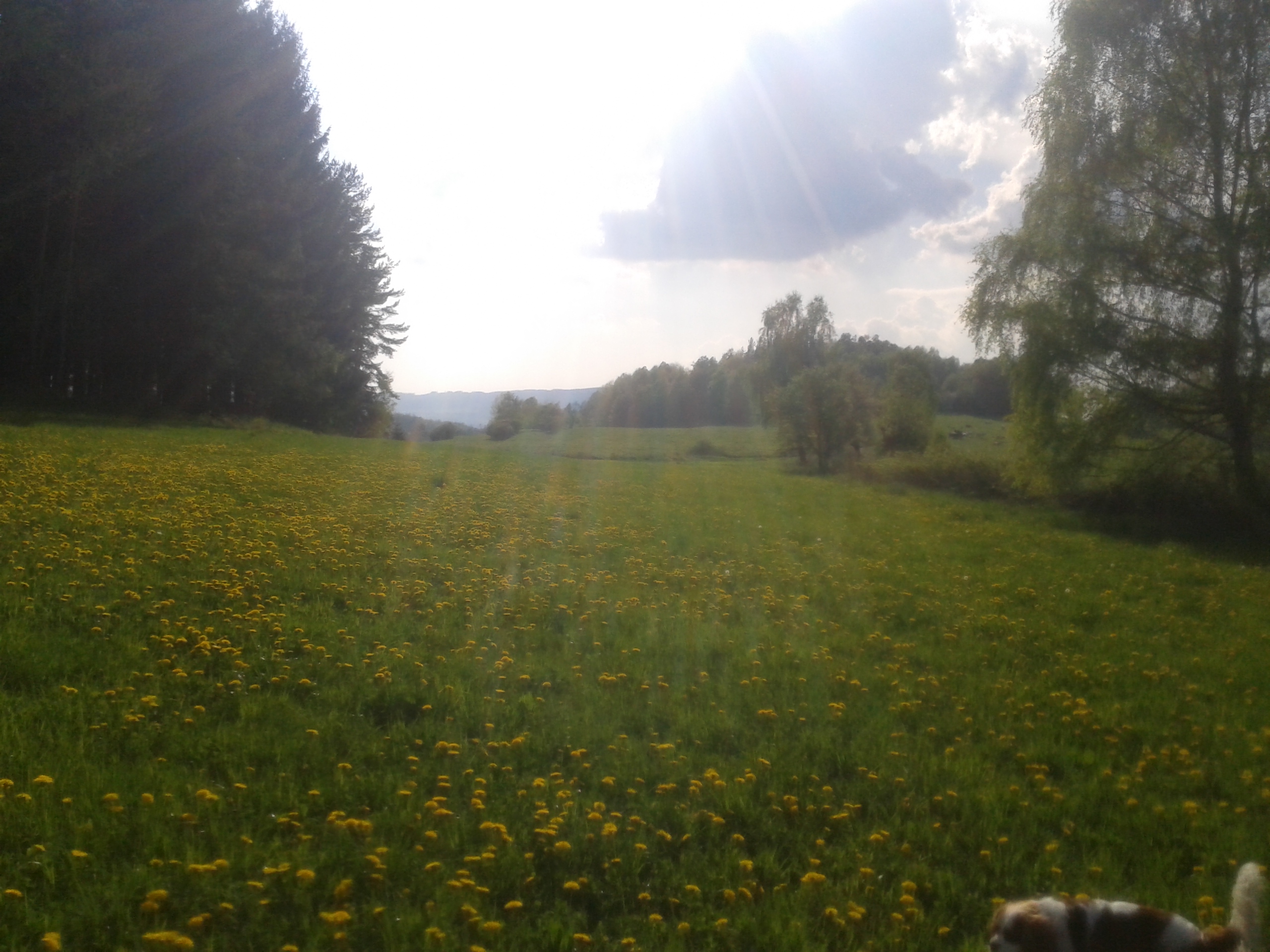 20140501_173317_Android