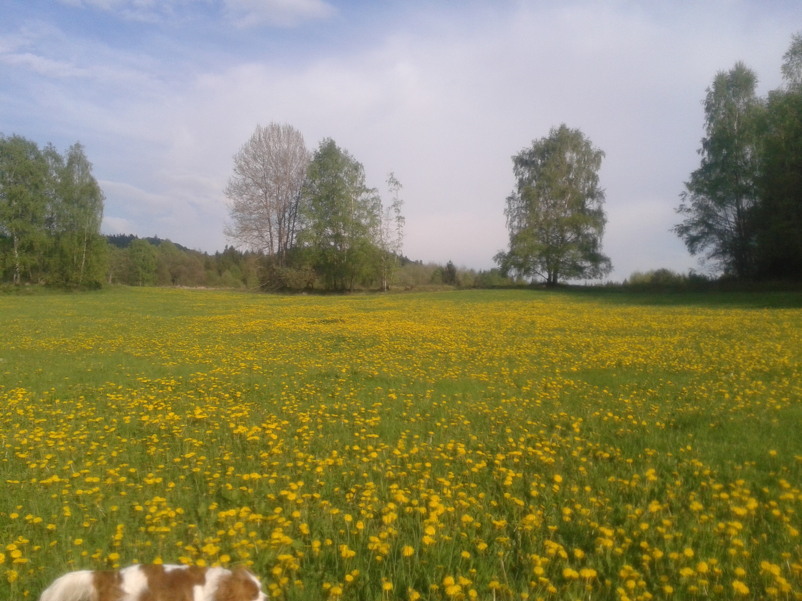 20140501_173403_Android