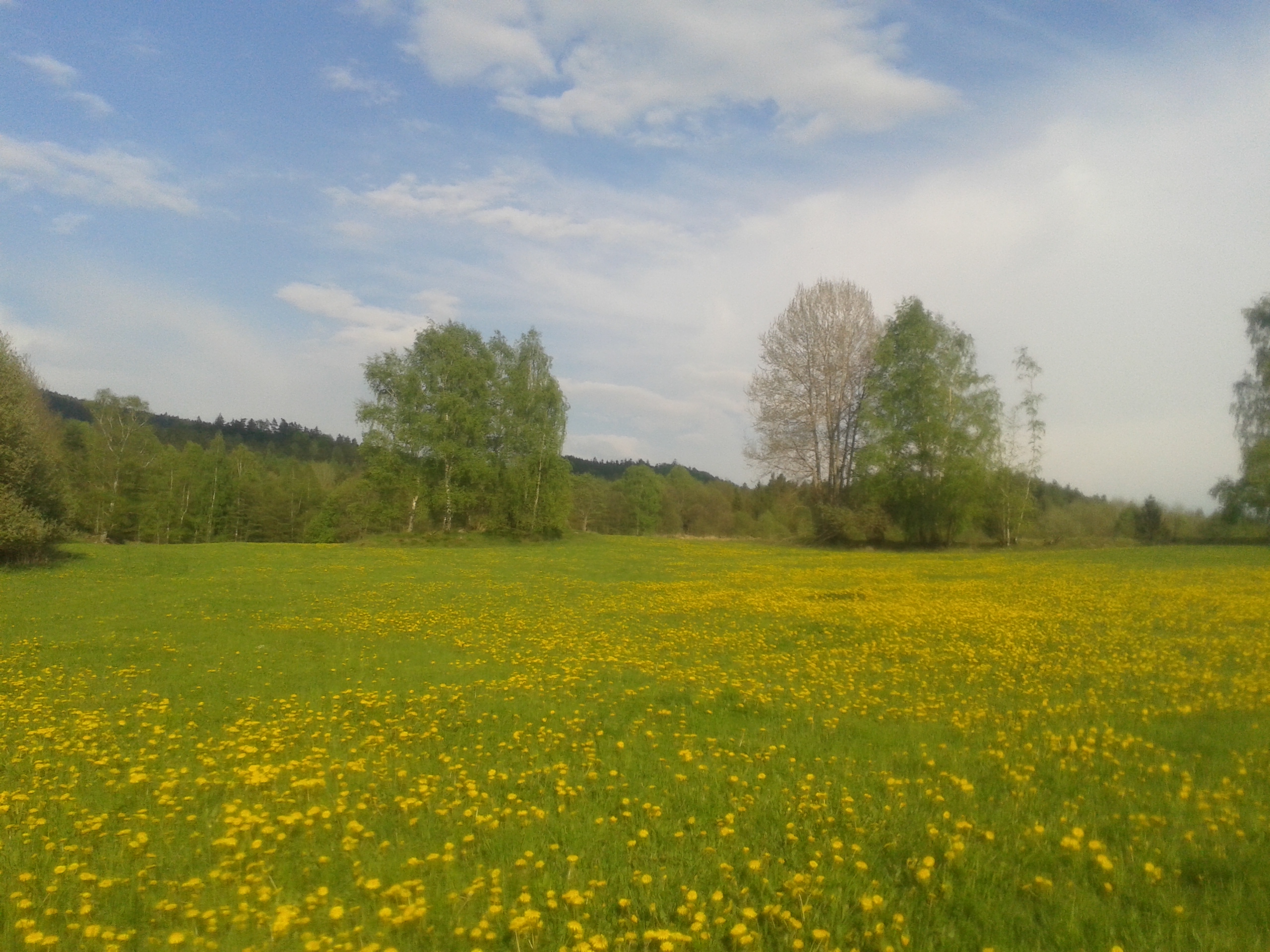20140501_173413_Android