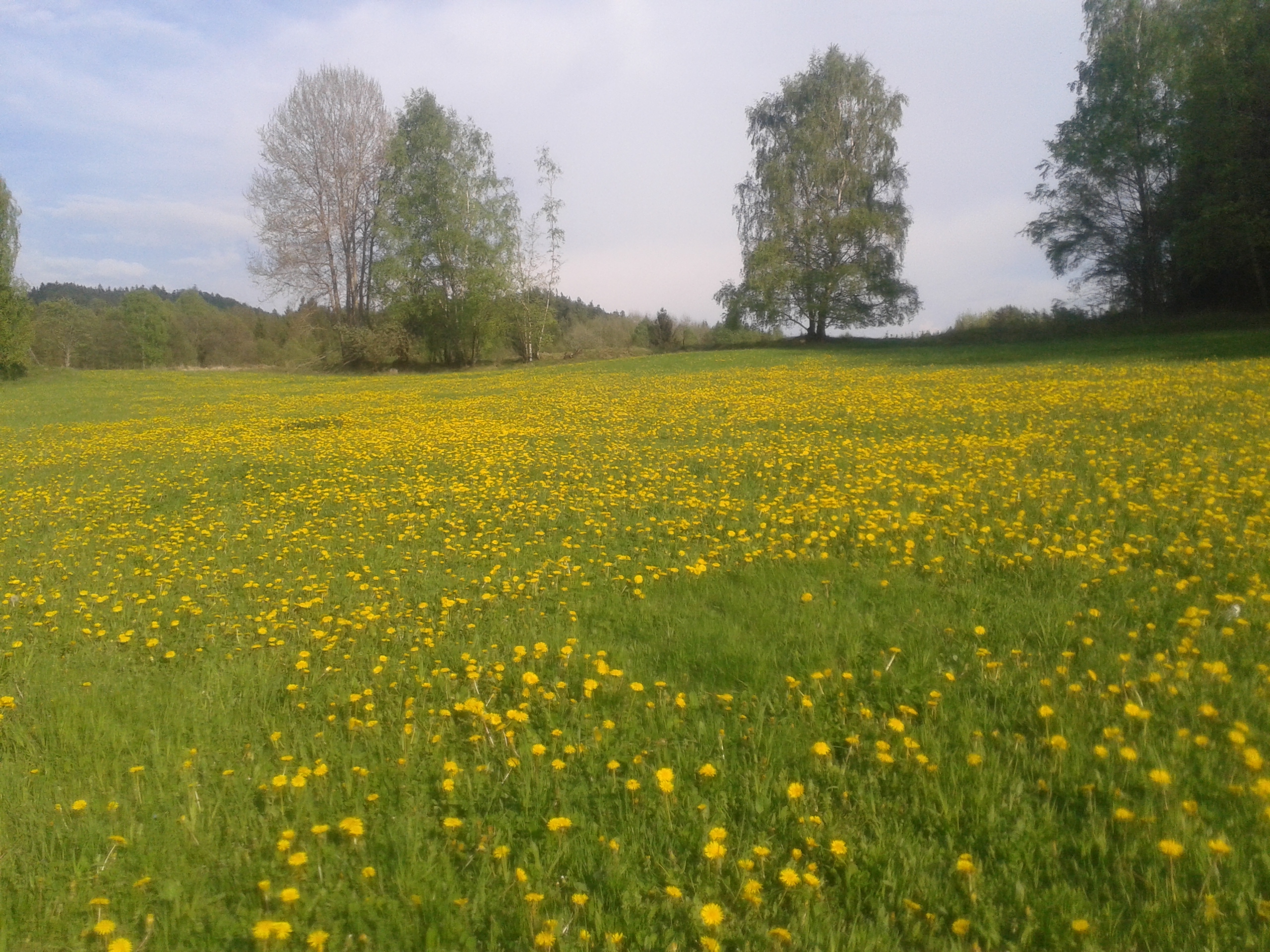 20140501_173654_Android