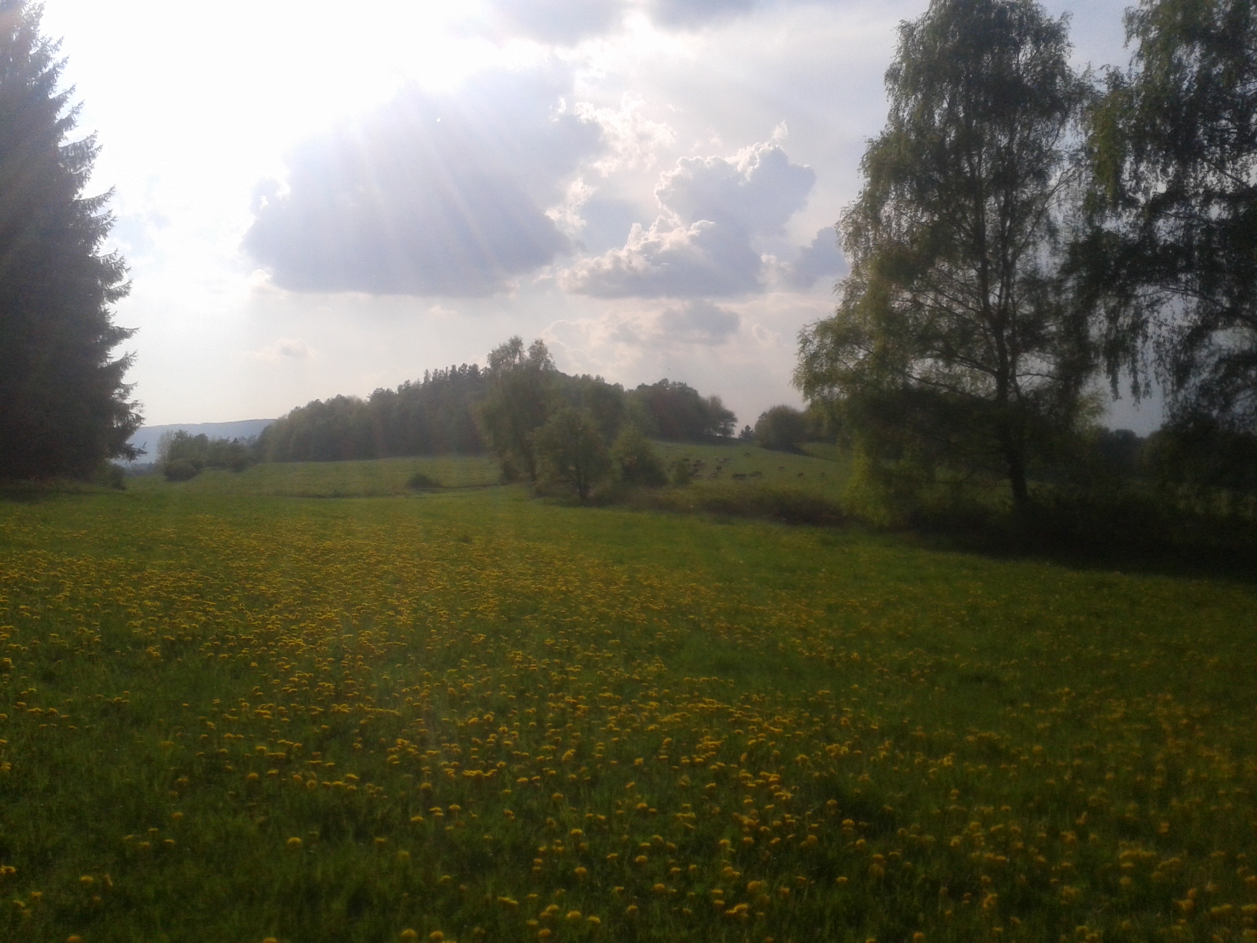 20140501_173701_Android