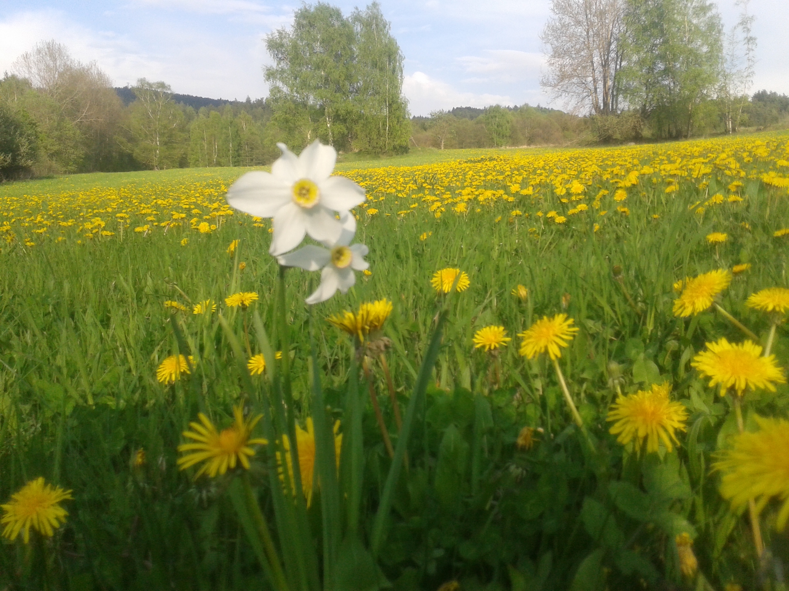 20140501_173838_Android
