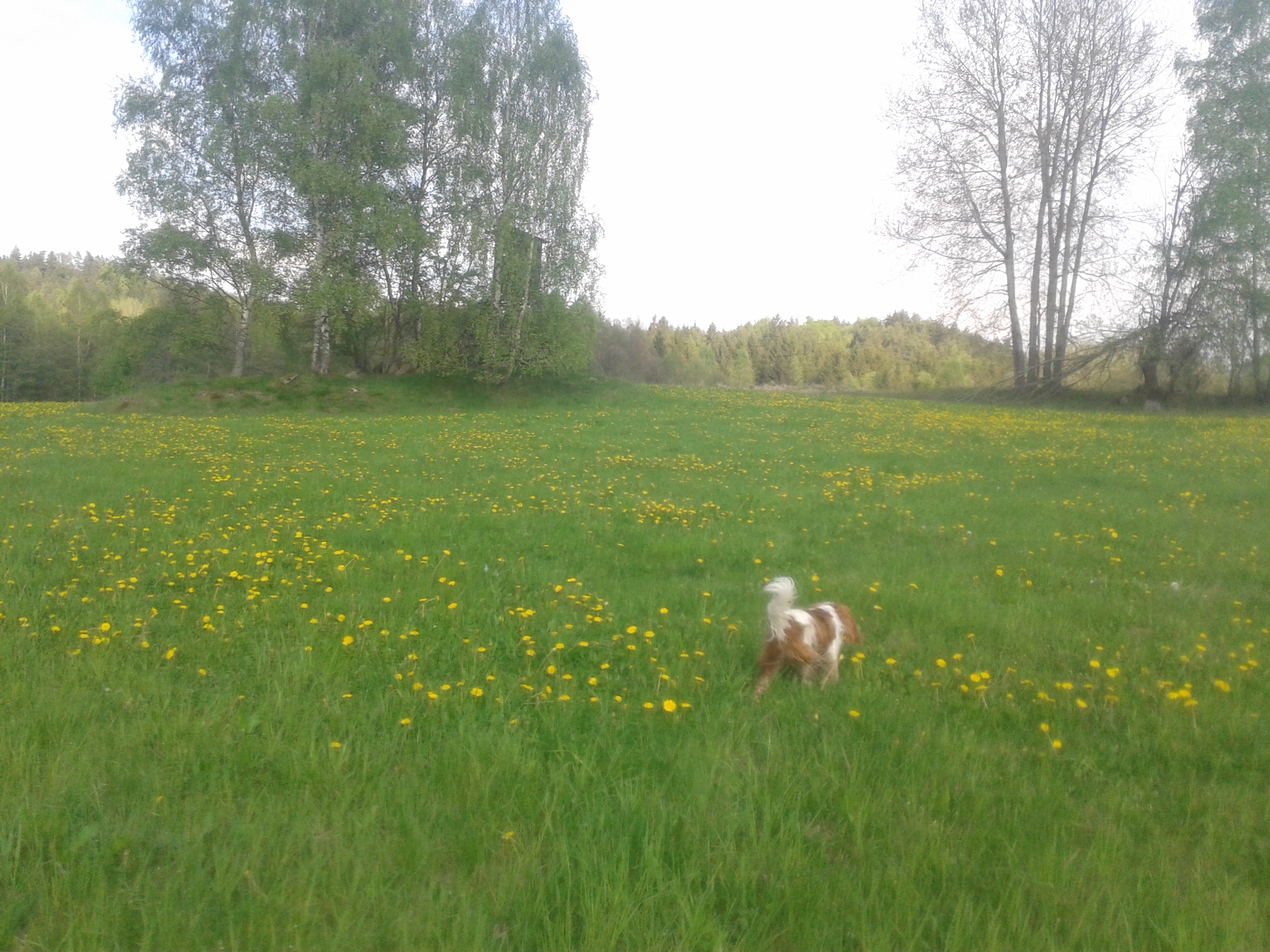20140501_174046_Android