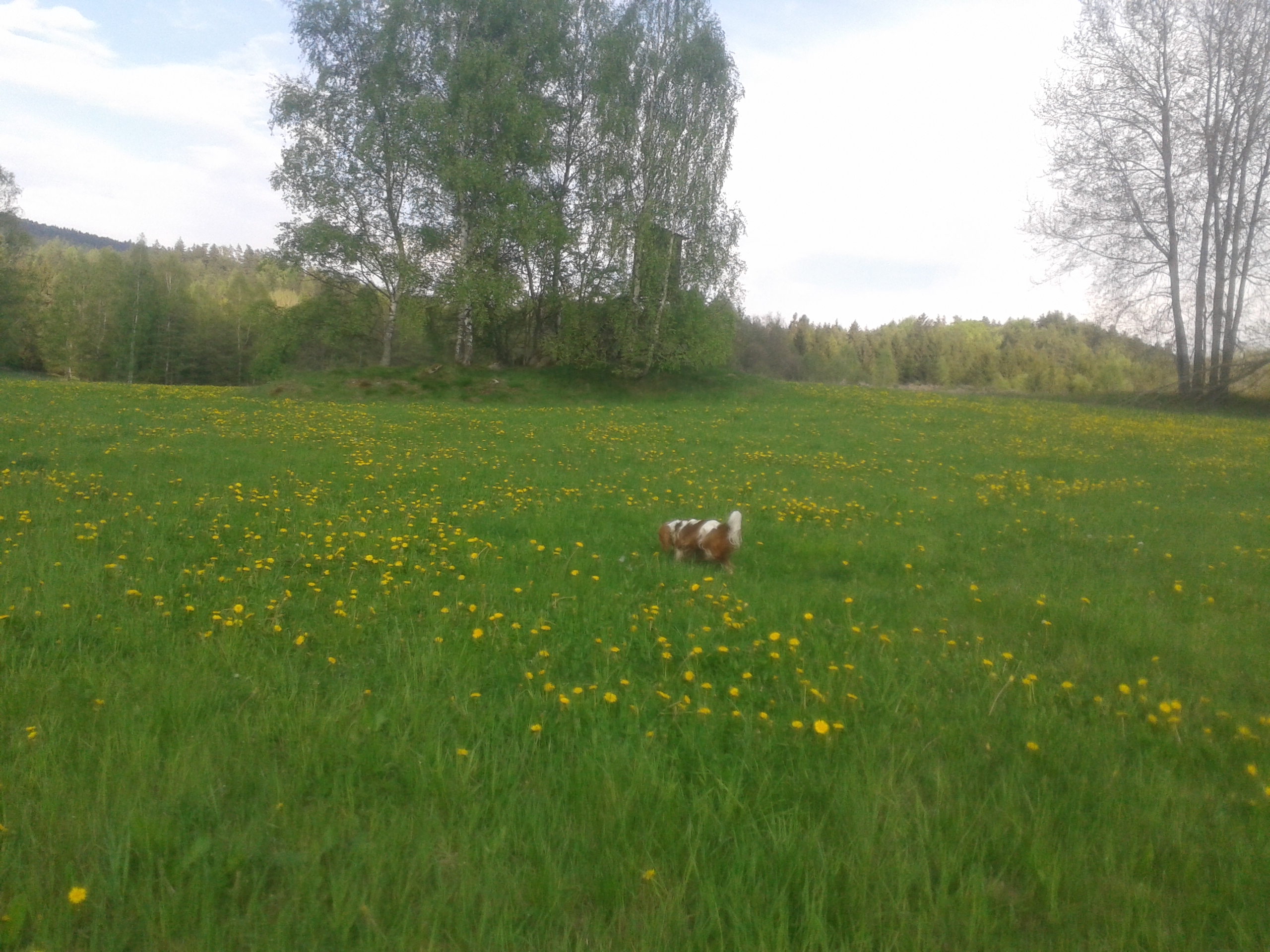 20140501_174050_Android