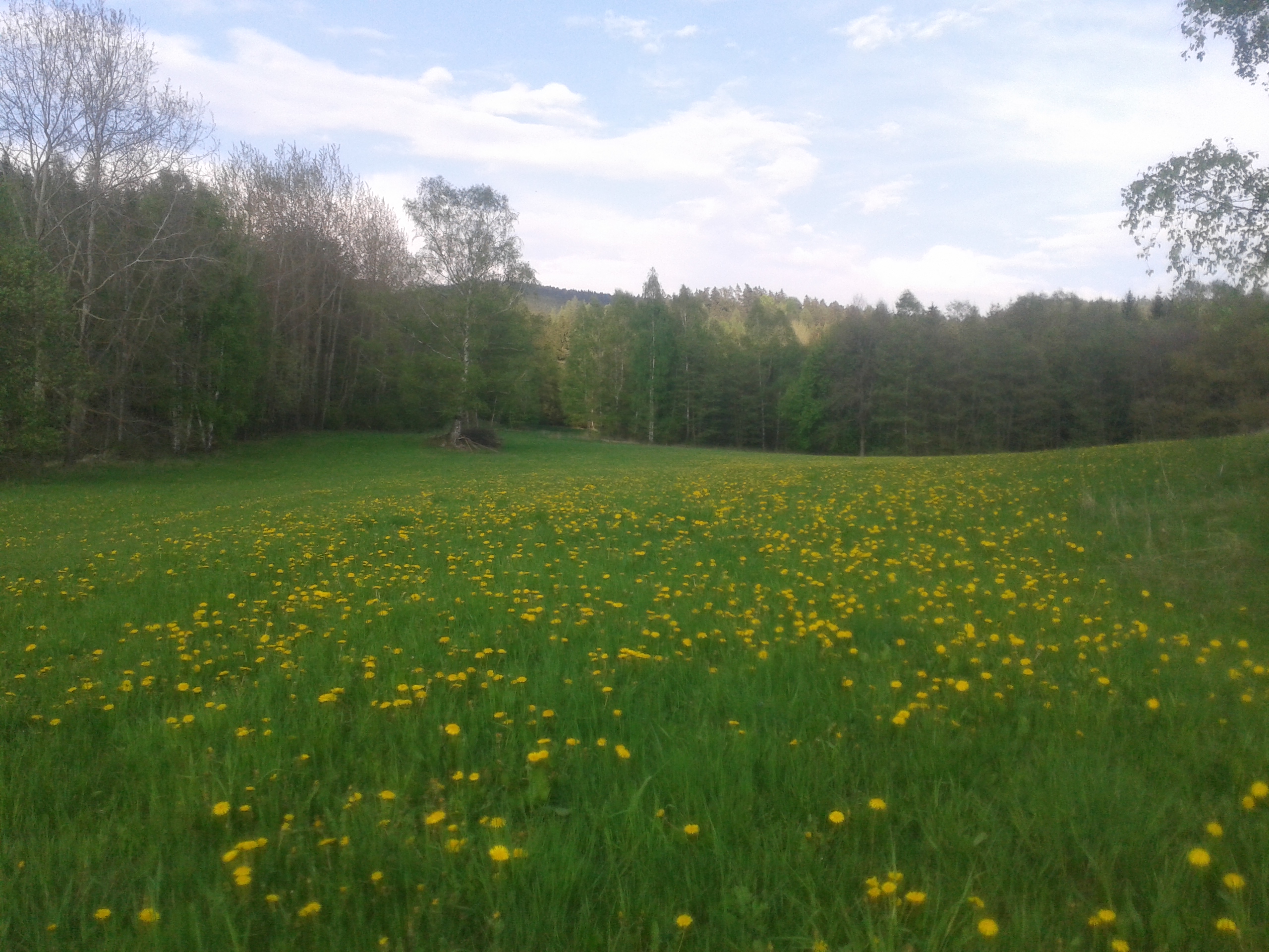 20140501_174115_Android