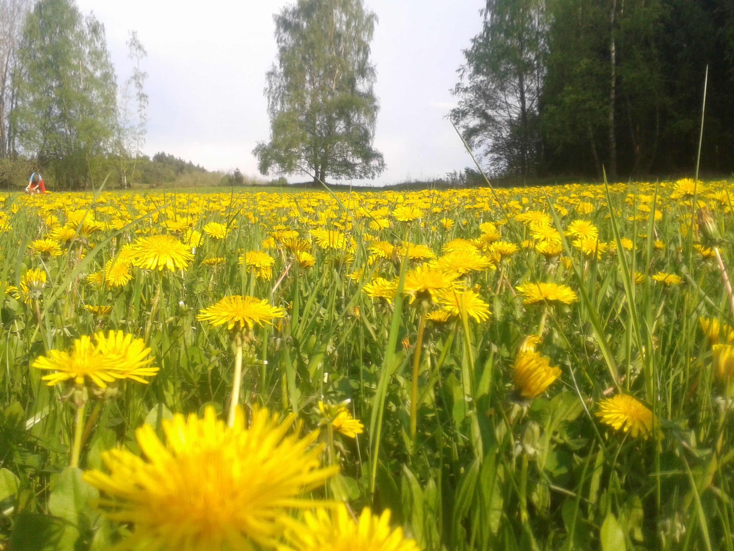 20140501_174458_Android
