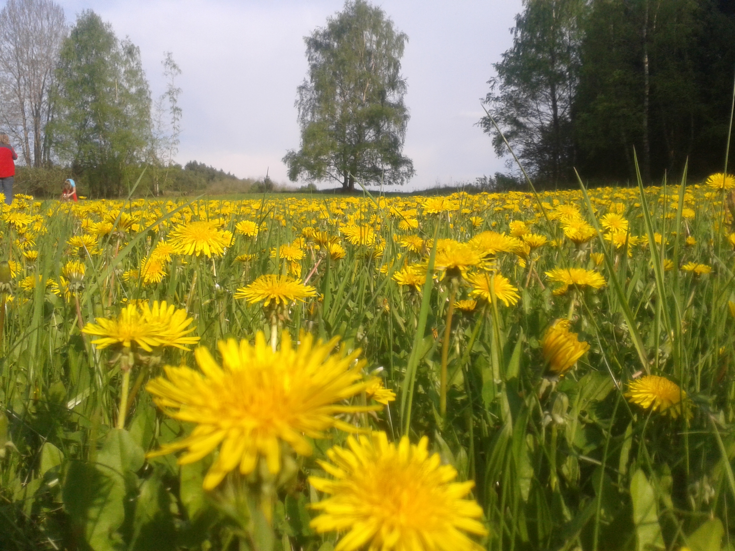 20140501_174504_Android
