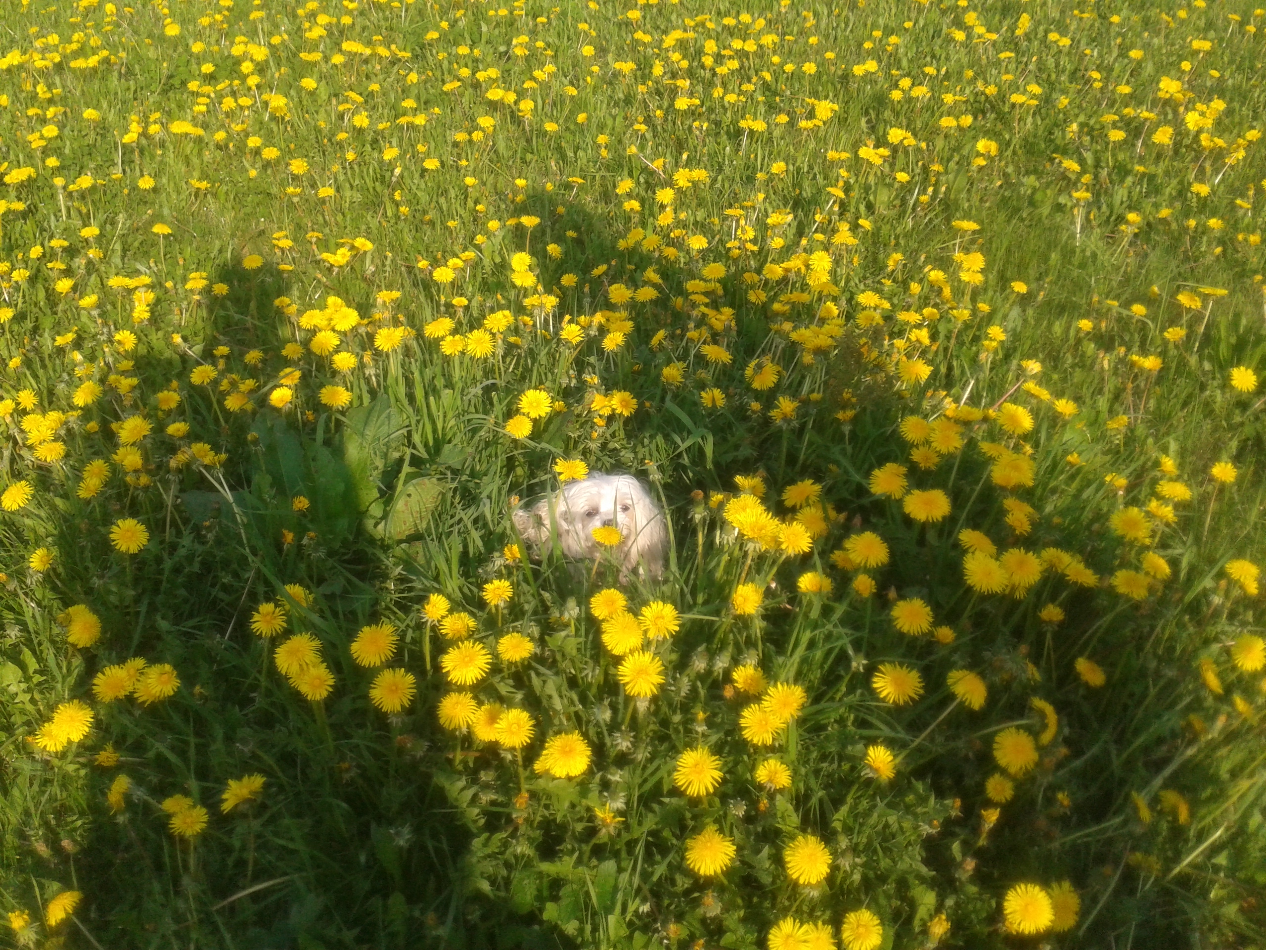 20140501_174533_Android