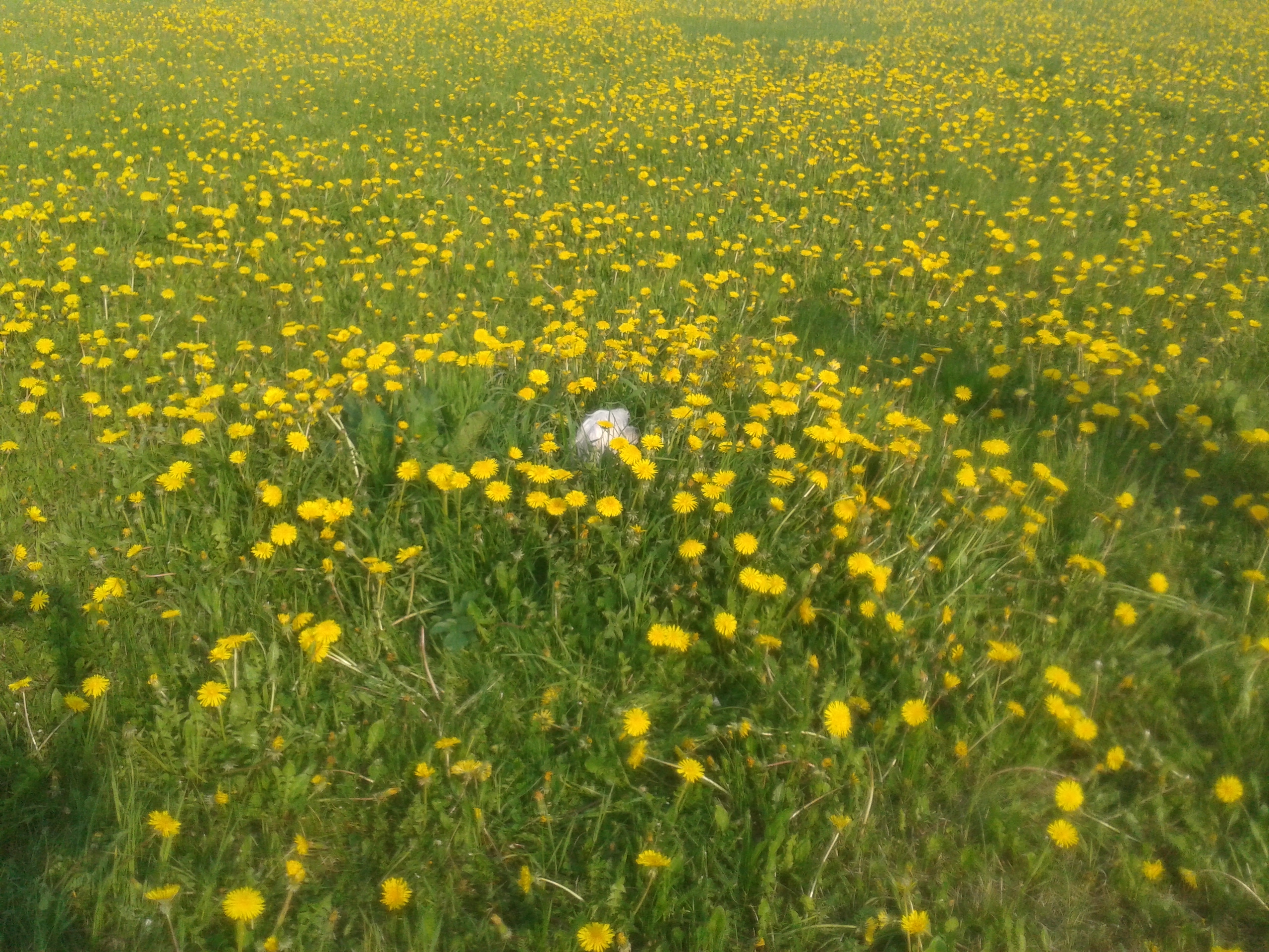 20140501_174542_Android