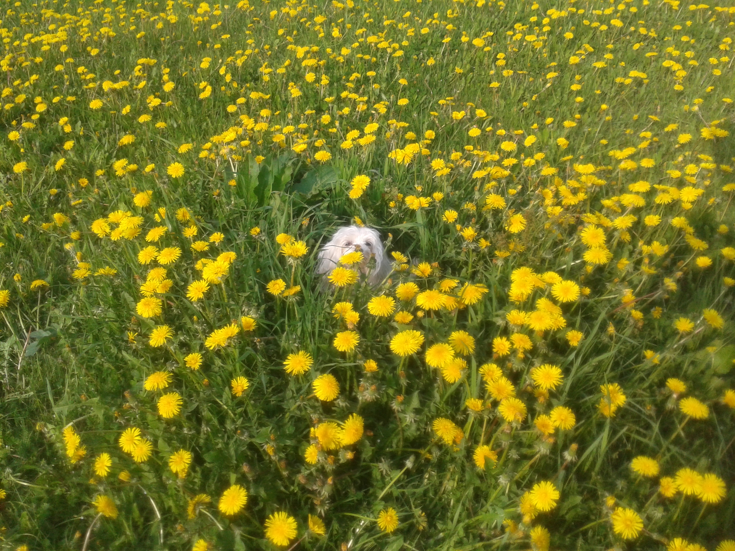20140501_174551_Android
