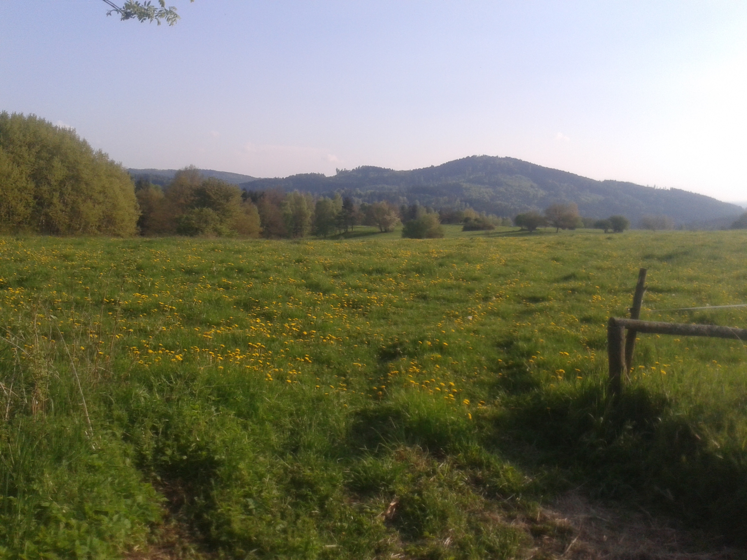 20140501_175445_Android