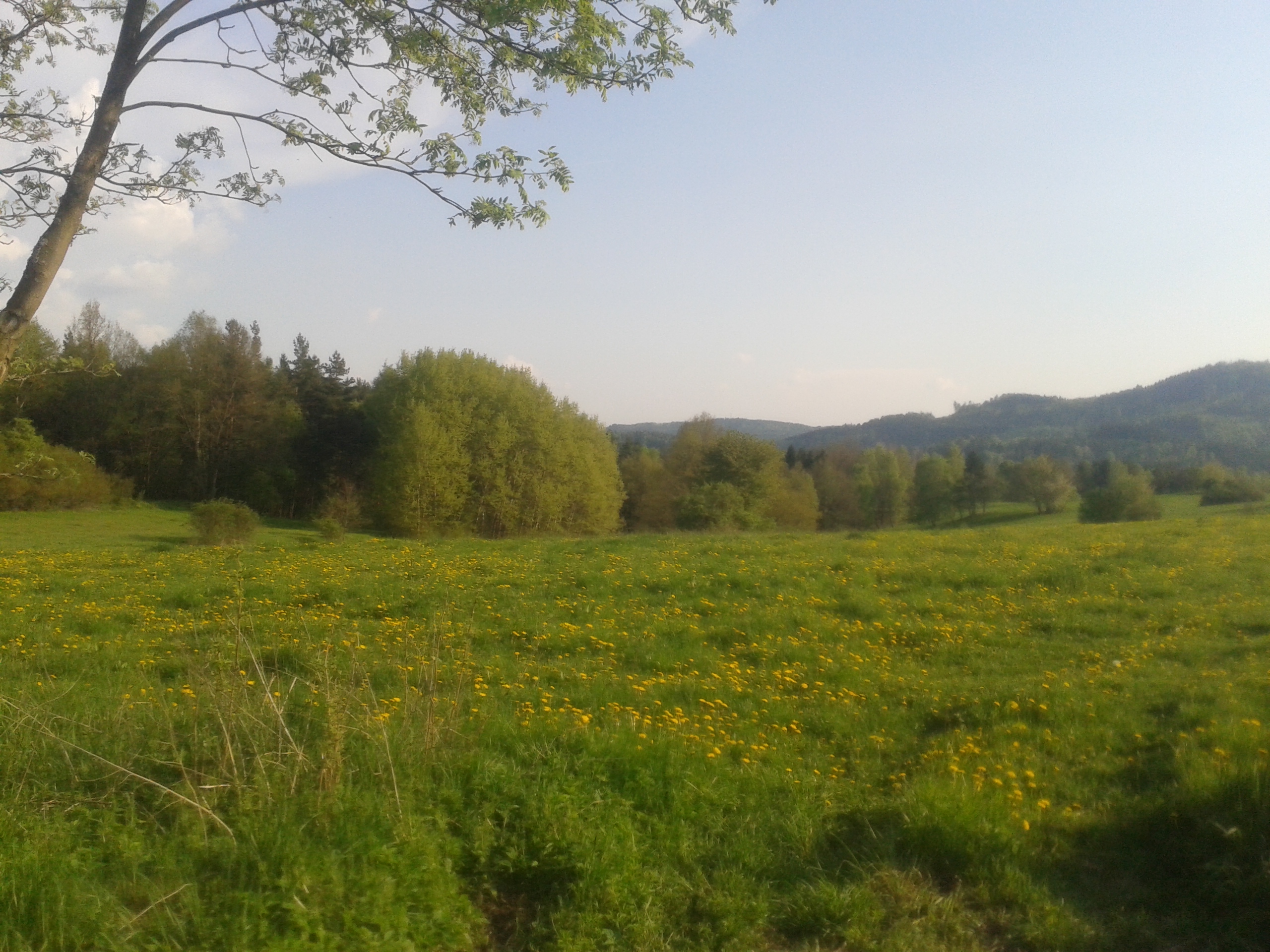 20140501_175453_Android