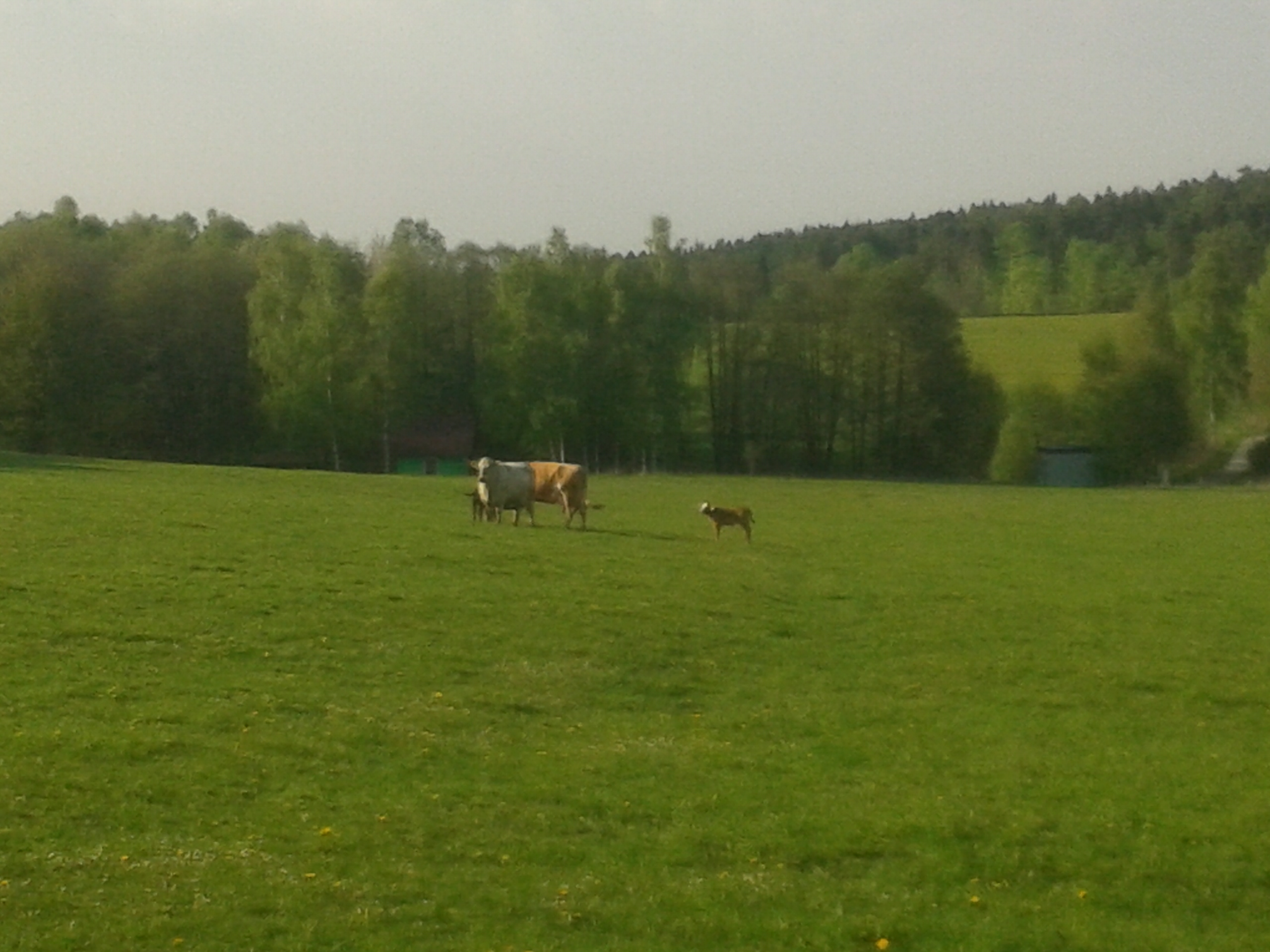 20140501_175558_Android