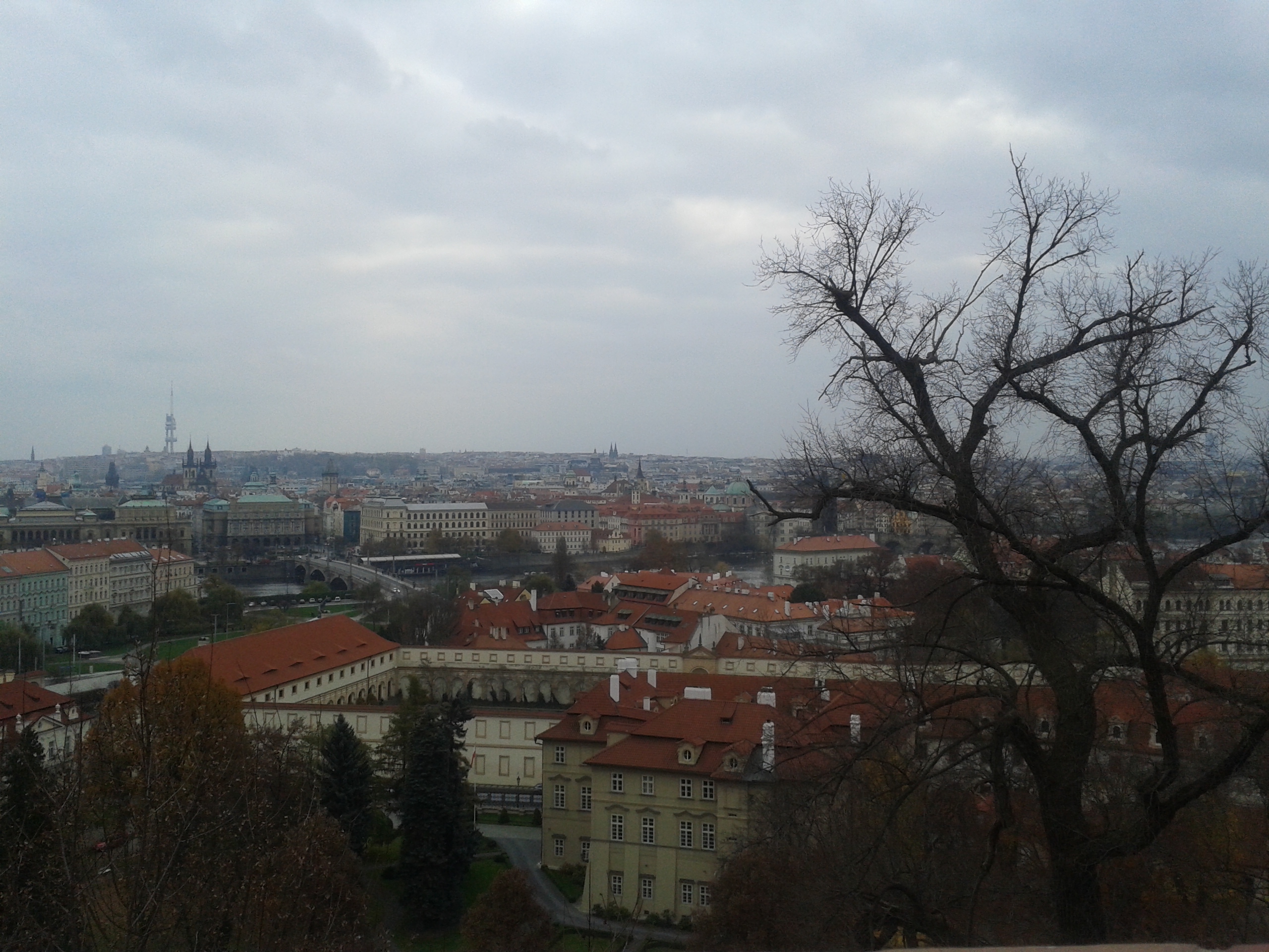 20141115_124529